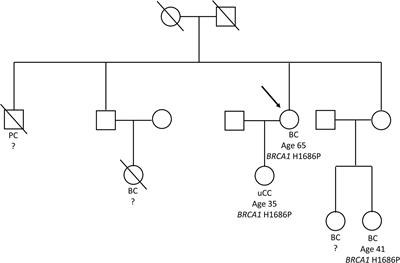 Assessing the pathogenicity of BRCA1/2 variants of unknown significance: Relevance and challenges for breast cancer precision medicine